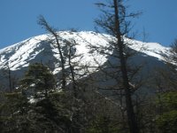 Kawaguchiko - Mt. Fuji